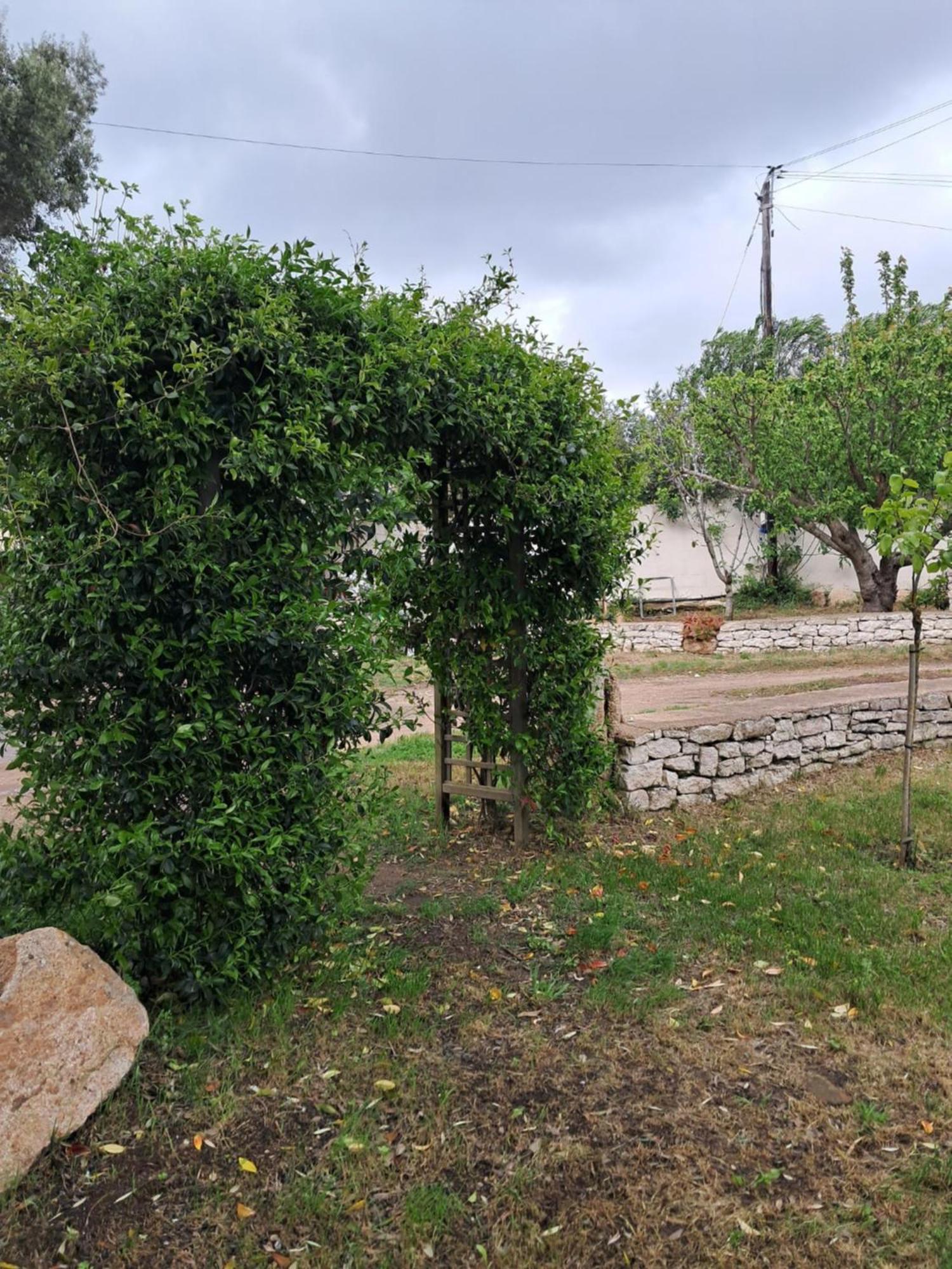 Mini Villa Giuseppina Bonifacio  Ngoại thất bức ảnh